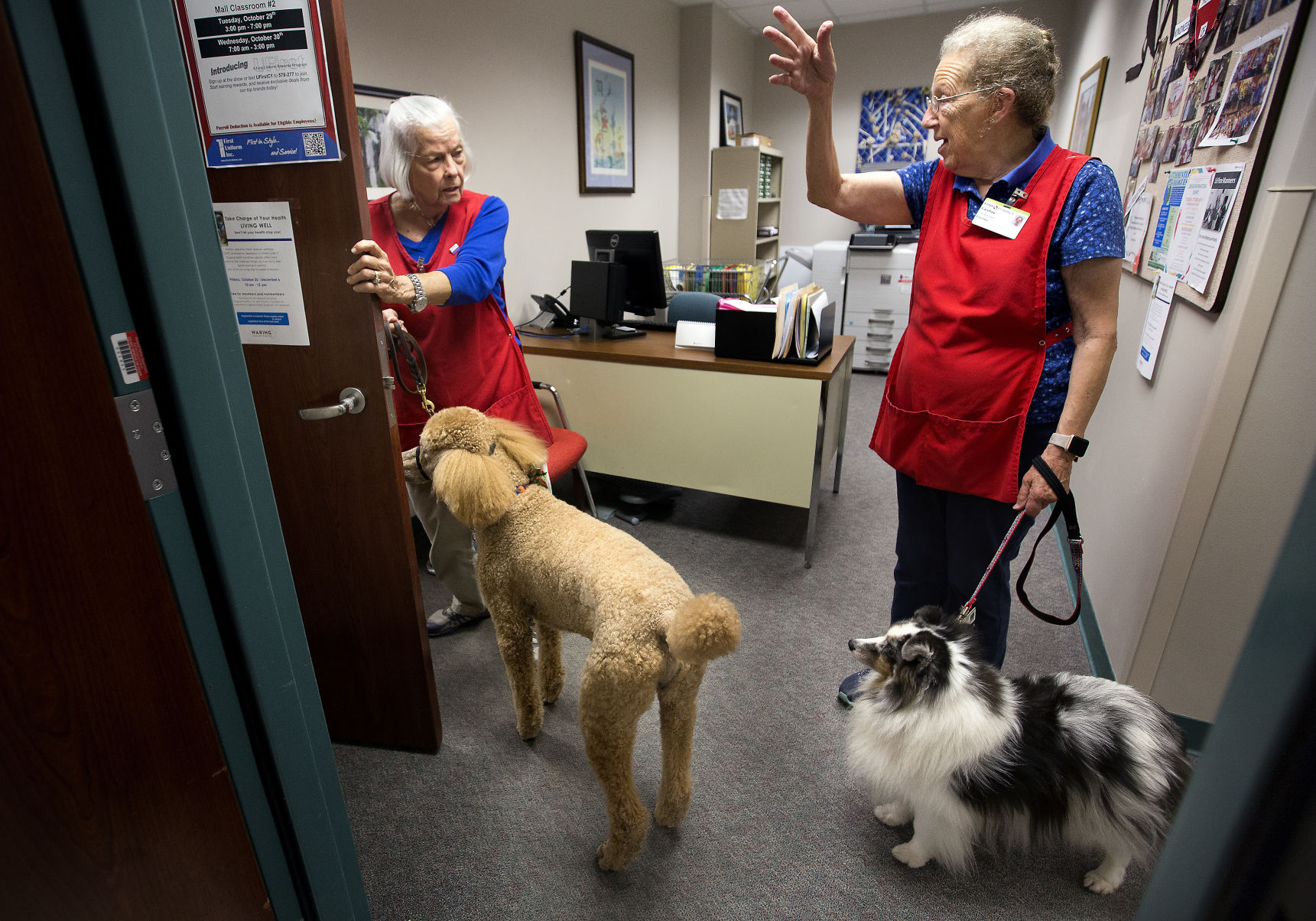 Therapy dogs.jpg